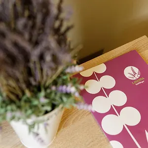 Lavanda Hotel&apartments 3* Praha